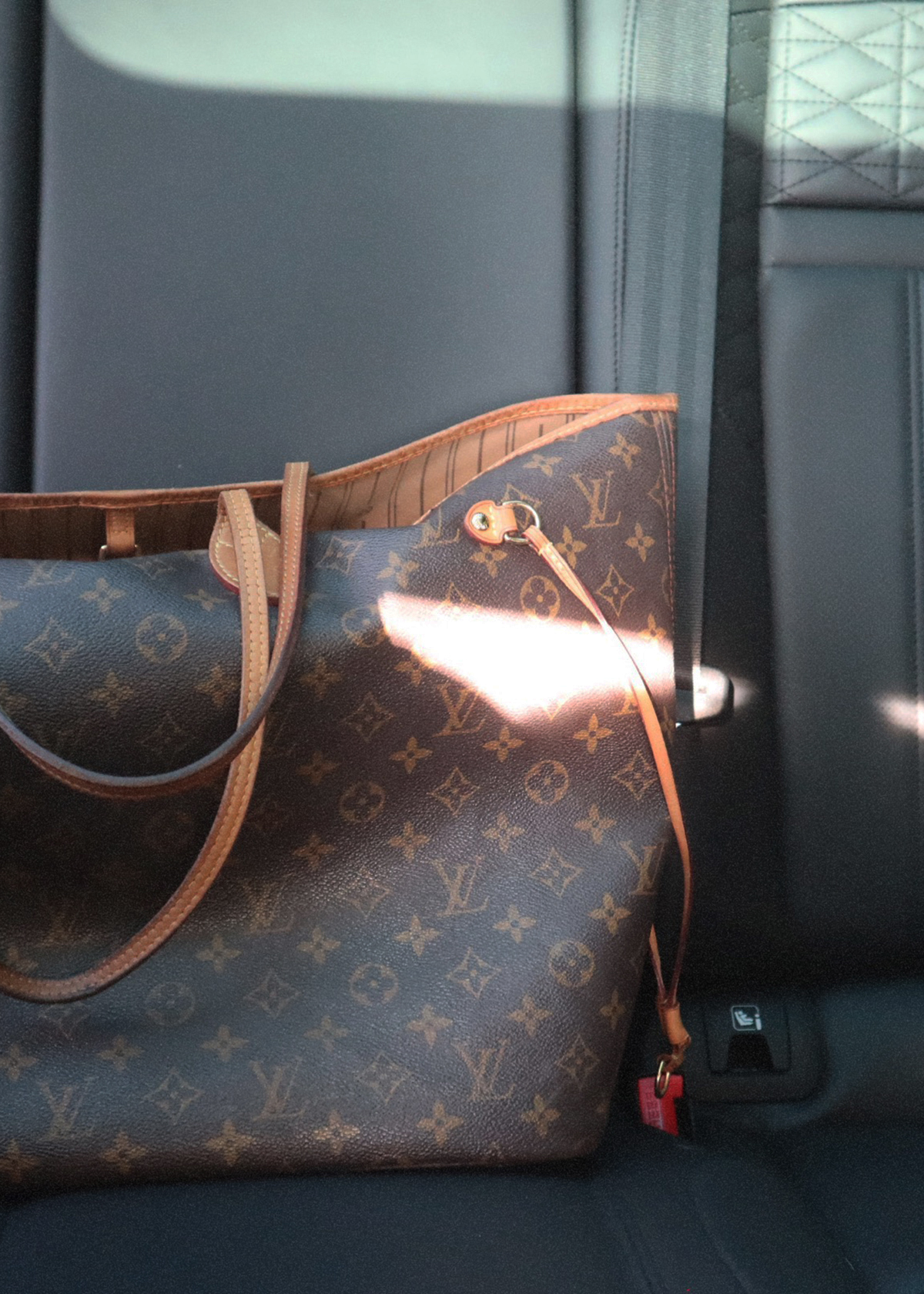 The Louis Vuitton Neverfull Handbag Review