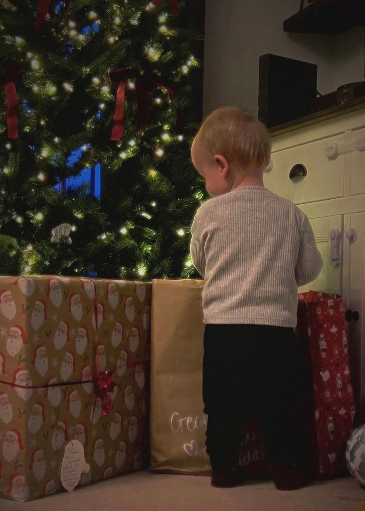 General Update: Slightly Frazzled But Happy